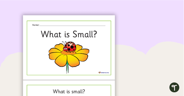 What is Small? Concept Book teaching resource