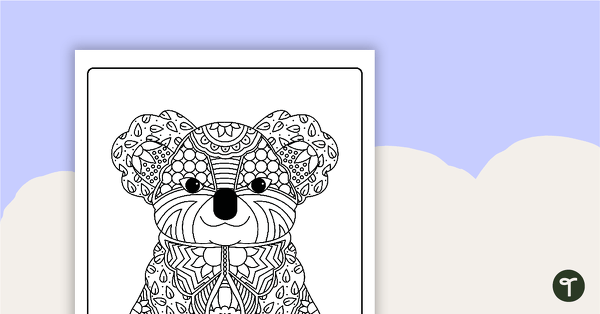 Go to Koala Mindful Colouring Sheet teaching resource