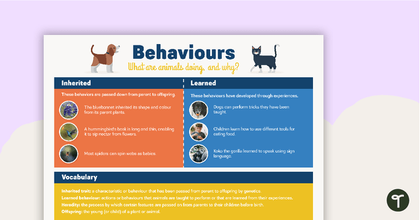 Inherited versus Learned Behaviours Poster teaching resource