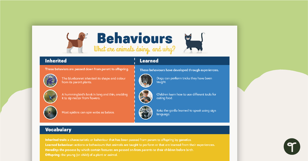 Inherited versus Learned Behaviours Poster teaching resource