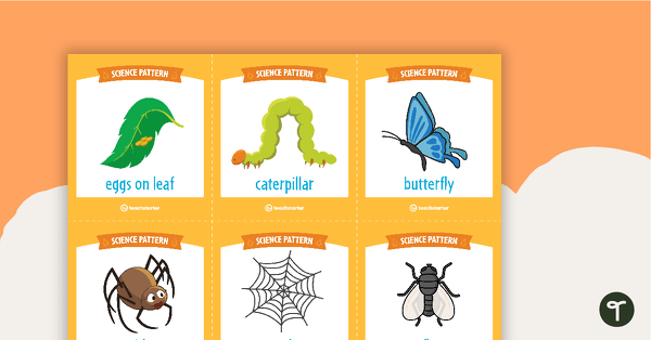 Science Pattern Match Cards teaching resource