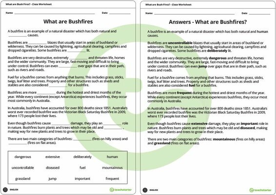 What are Bushfires? Cloze Worksheet teaching resource