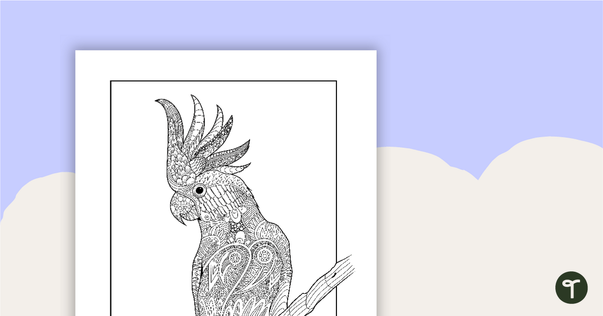 Cockatoo Mindful Coloring Sheet teaching resource
