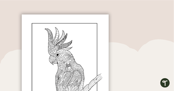 Cockatoo Mindful Colouring In Sheet teaching resource
