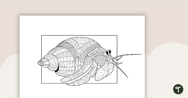 Go to Crab Mindful Coloring Sheet teaching resource