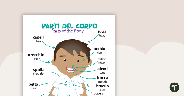 Parts of the Body/Parti Del Corpo - Italian Language Poster teaching resource