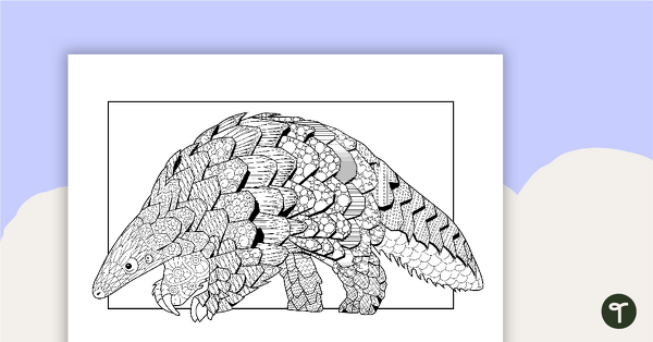 Image of Pangolin Mindful Coloring Sheet