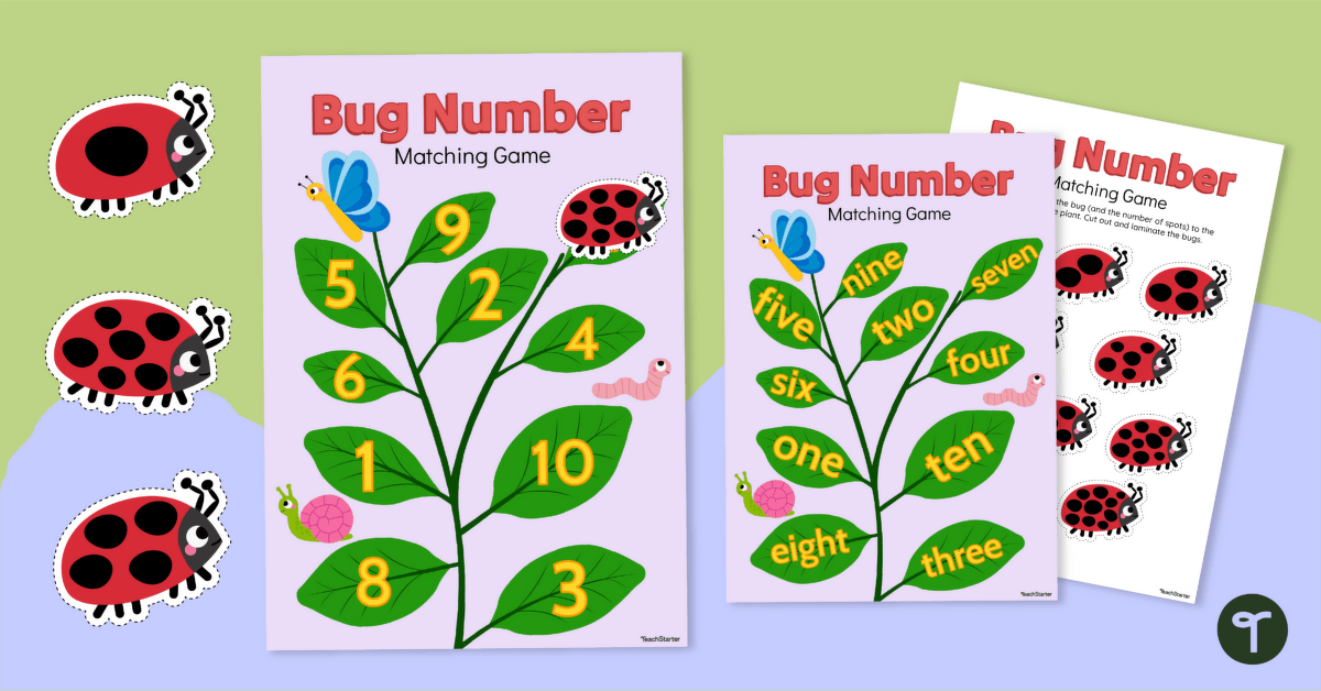 Bug Number Matching Game teaching resource