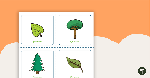 Plant and Animal Sort – Task Cards teaching resource