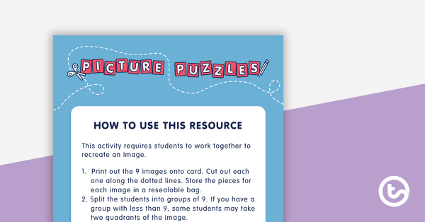 Go to Picture Puzzles teaching resource