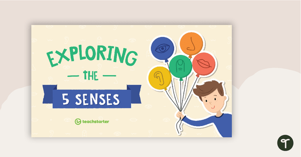Exploring the 5 Senses PowerPoint teaching resource