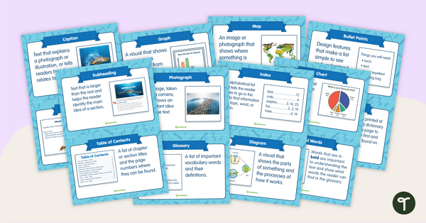 Text Features Flashcards teaching resource
