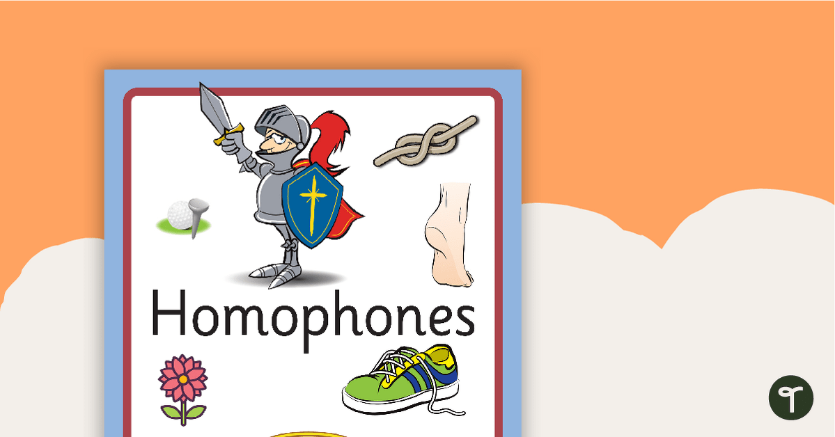 Homophone Matching Cards teaching resource