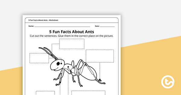 5 Fun Facts About Ants - Read and Respond Worksheet teaching resource
