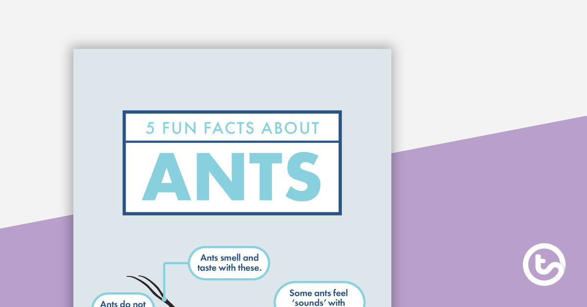 5 Fun Facts About Ants - Read and Respond Worksheet teaching resource