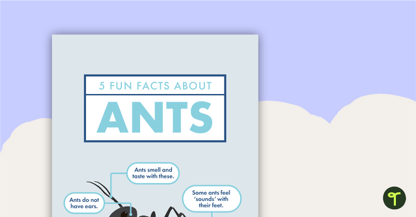 5 Fun Facts About Ants - Read and Respond Worksheet teaching resource