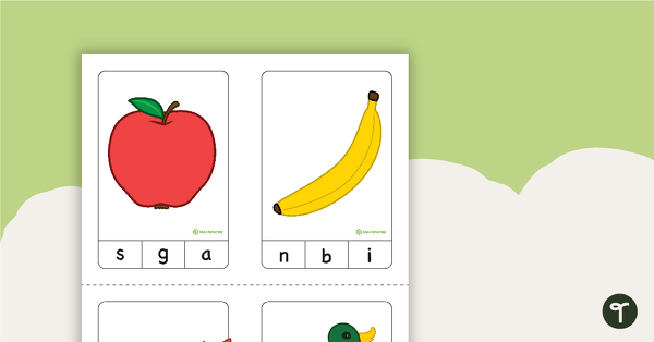 Initial Sound Peg Cards (Version 1) teaching resource