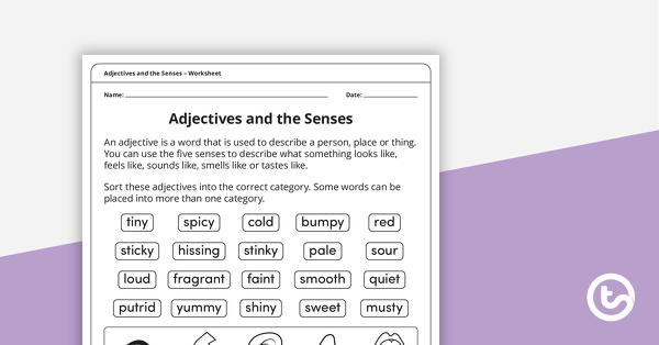 Adjectives and the Senses – Worksheet teaching resource
