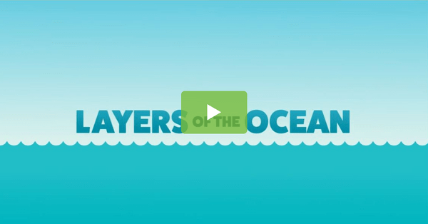 Preview image for Layers of the Ocean Science Activity - video