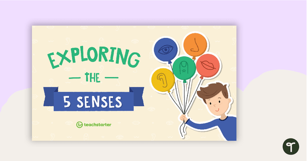 Exploring the Five Senses PowerPoint teaching resource