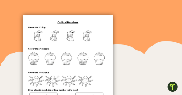 Go to Ordinal Numbers Worksheet - Colouring and Matching teaching resource