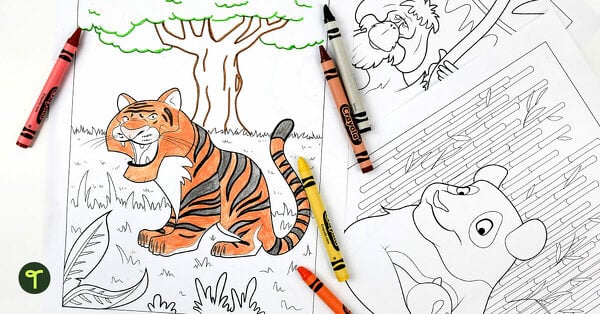 Go to 6 World Wildlife Day Activities for Kids to Teach Wildlife Conservation in Primary School blog