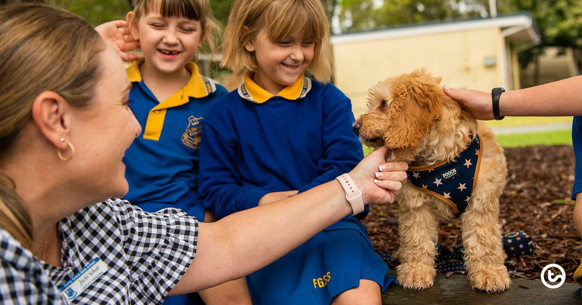 Meet Auggie The School Therapy Dog Impacting Kids and Staff Teach