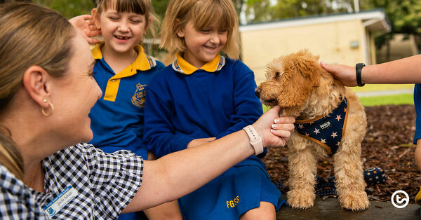 去见Auggie:学校治疗狗影响孩子和工作人员的博客
