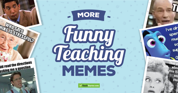Go to More Funny Teaching Memes blog