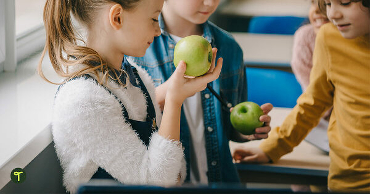 Composting in the Classroom Including Curriculum Links! Teach Starter