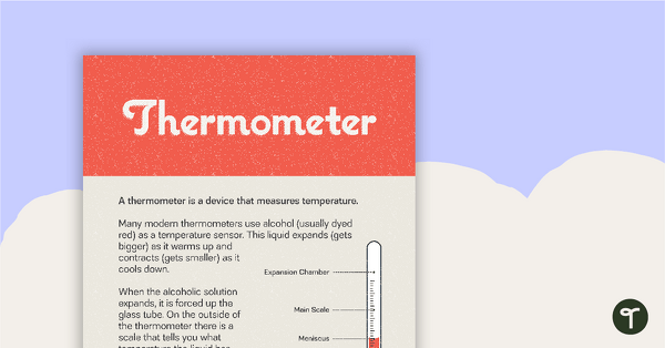 Go to Thermometer Poster – With Description teaching resource