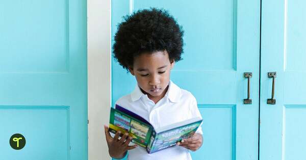 Go to Classroom Reading Corner Ideas That Improve Student Literacy — Teacher-Tested Tips blog