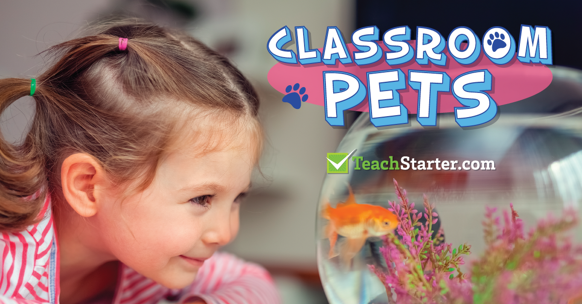 All You Need to Know About Classroom Pets! - Hints, Tips & Stories ...