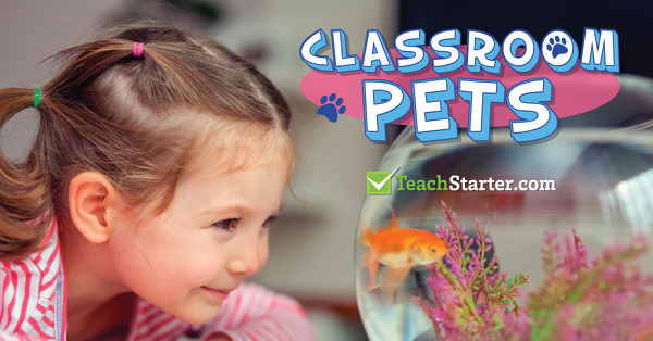 Go to All You Need to Know About Class Pets! blog