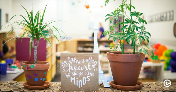 Go to The Best and Worst Plants for the Classroom (And How to Care for Them) blog
