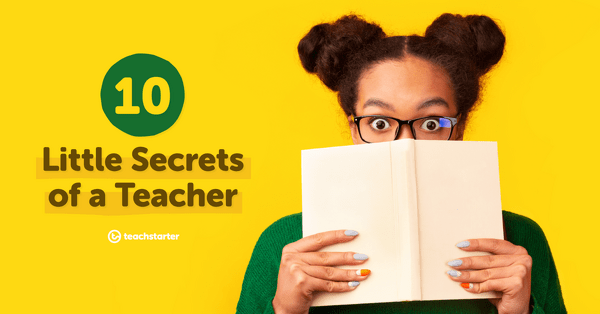Go to 10 Little Secrets of a Teacher blog