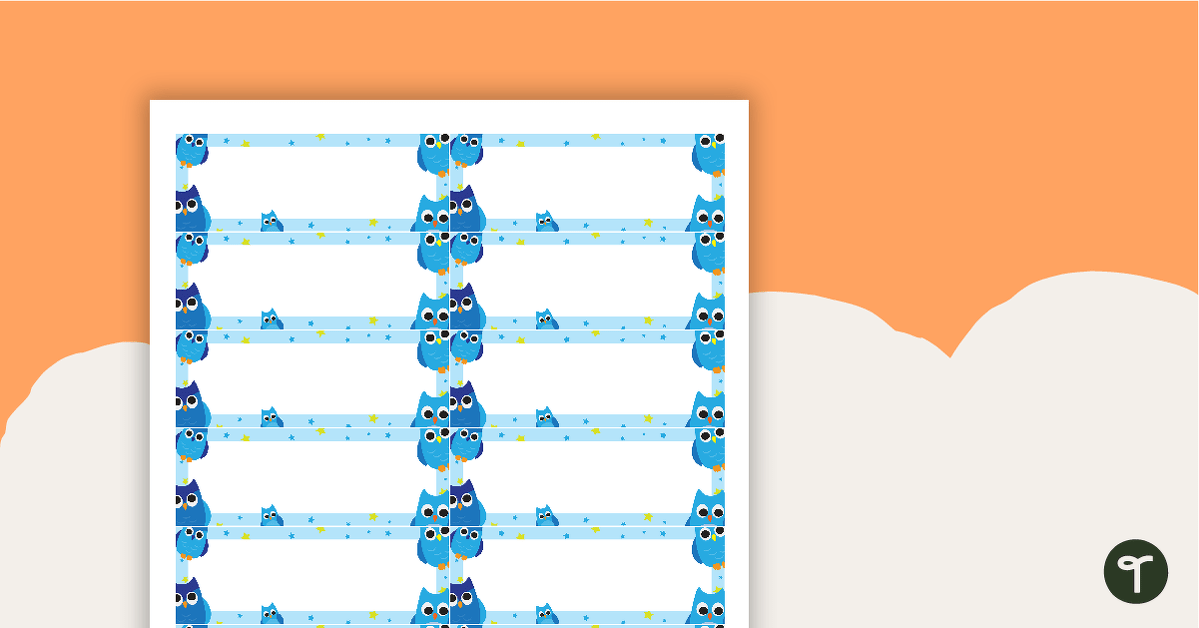 Desk Name Tags - Owls - Blue teaching resource