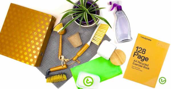 Preview image for Environmentally Friendly Ways to Clean Your Classroom - blog
