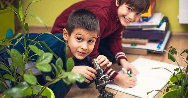 Go to Plant Power | 5 Benefits of Plants in the Classroom blog