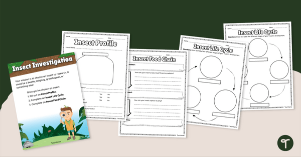 Go to Insect Investigation - Project teaching resource