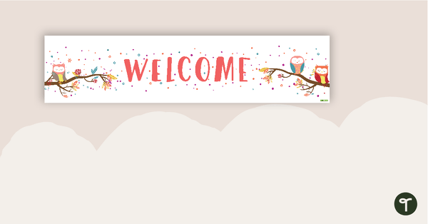 Owl Welcome Display Banner teaching resource