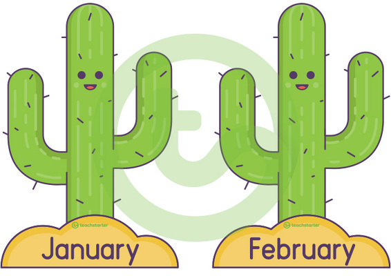 Cactus and Sombrero Birthday Display Template teaching resource