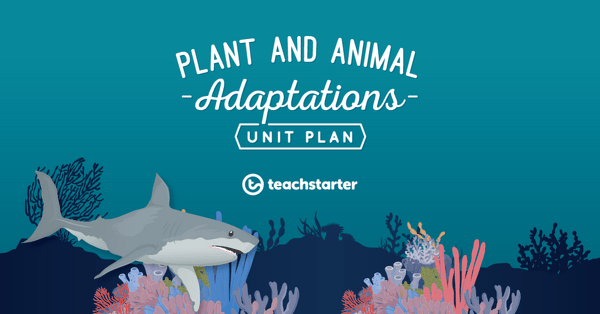 Preview image for Plant and Animal Adaptations Unit Plan - unit plan