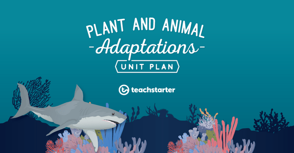 植物和动物适应大学预览图像t Plan - unit plan