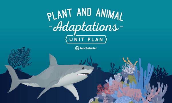 Go to Plant and Animal Adaptations Unit Plan unit plan