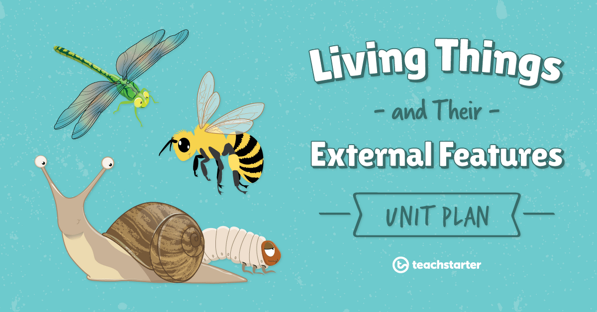 Living Things and Their External Features Unit Plan Teach Starter