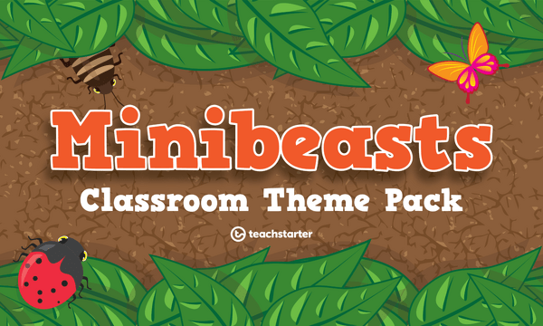 Go to Minibeasts Classroom Theme Pack resource pack