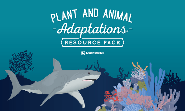 Preview image for Plant and Animal Adaptations Teaching Resource Pack - resource pack