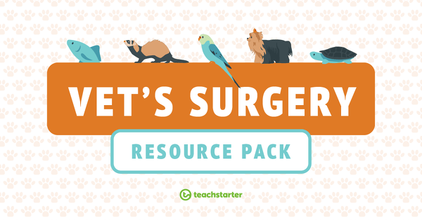 Go to Vet's Surgery - Imaginative Play Pack resource pack
