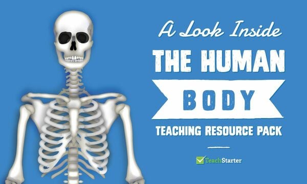 Go to A Look Inside the Human Body Teaching Resource Pack resource pack